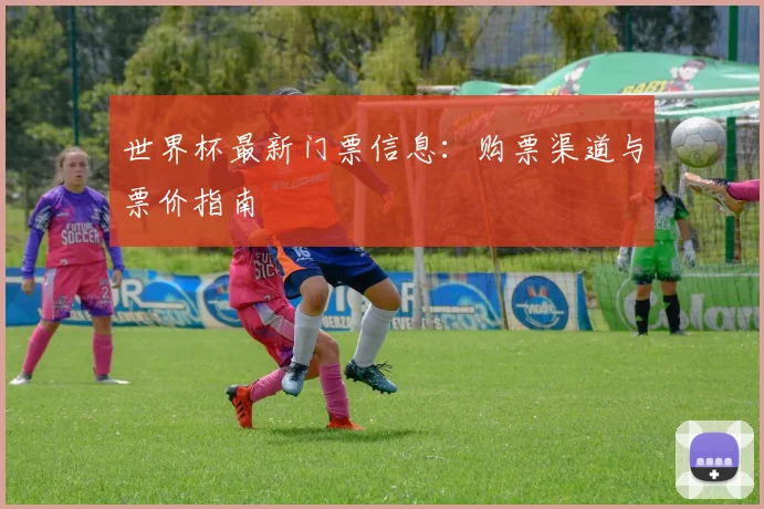 世界杯最新门票信息:购票渠道与票价指南